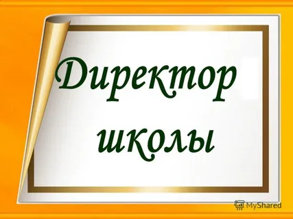 Единоличным исполнительным органом образовательной организации является руководитель образовательной организации, который осуществляет текущее руководство деятельностью образовательной организации..